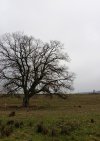 IMG_20221231_195759.jpg