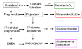 kolesterol-urunleri.png kolesterol-urunleri.png