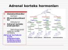 slide_19.jpg slide_19.jpg