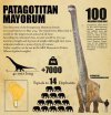 PATAGOTITAN-MAYORUM-INFOGRAPHIC_Mesa-de-trabajo-1-1024x1024_edit_407986157198160.jpg