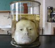 the-very-well-preserved-head-of-diogo-alves-a-portuguese-v0-zb9m6r16c84a1_edit_190115909667342.jpg