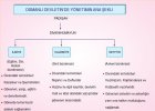 Osmanlı-Yönetiminin-Ana-Şekli_edit_113952251122714.jpg Osmanlı-Yönetiminin-Ana-Şekli_edit_113952251122714.jpg