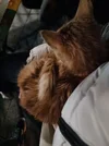20230325_233719.webp