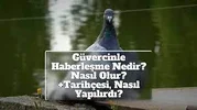 indir (21).webp