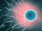 spermiogram SİSTEMLAB(1).jpg spermiogram SİSTEMLAB(1).jpg