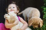 bebeklerde-hayvan-sevgisi-nasil-gelisir(1).webp bebeklerde-hayvan-sevgisi-nasil-gelisir(1).webp