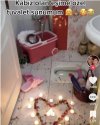 Screenshot_20230430_090501_Google News.jpg