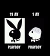 forumsal-playboy-tavşanı.jpg