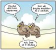 karikatc3bcr-yic49fit-c3b6zgc3bcr-6-800-x-708.jpg