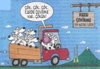 FB_IMG_1684123882224.jpg