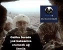 Picsart_23-04-27_09-01-33-240.jpg