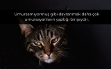 1684677058431.png 1684677058431.png