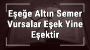 1684731437657.png