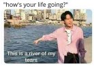 FB_IMG_1684968849124.jpg