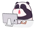 1685702209734.webp