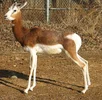 IMG_8600.webp IMG_8600.webp