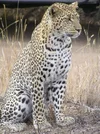 IMG_8602.webp IMG_8602.webp