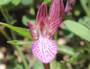 IMG_8604.webp IMG_8604.webp