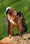 IMG_8617.webp IMG_8617.webp
