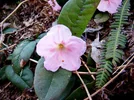 IMG_8621.webp IMG_8621.webp