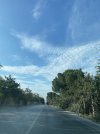 IMG_0940.jpeg