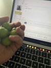IMG_0954.jpeg