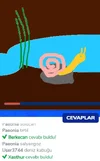 sdfgsdfsdf.webp