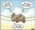 images (23).jpeg