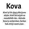 1687257608869.png
