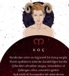Koc-burcu-erkegi-2.jpg