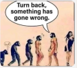 1689067219443.png