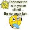 1690443385545.webp