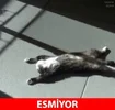 BEB40C58-AE49-4963-A372-C92244915C89.webp
