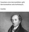 FB_IMG_1691159581637.jpg
