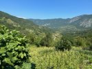 IMG_8993.jpeg