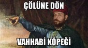 5v1315859gz5.jpg