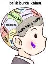 1691783039798.png