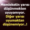 7f082482828d411be4b6392ae3410293_edit_1833855870029.jpg