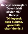 59e68fdfef54a9f59d88fff81585cdd7_edit_1871558375753.jpg