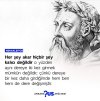 FB_IMG_1692394056660.jpg