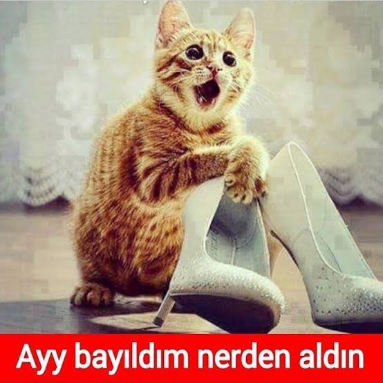 E6AAC7BB-383F-475D-A66F-08CD5DBE3DD8.jpg