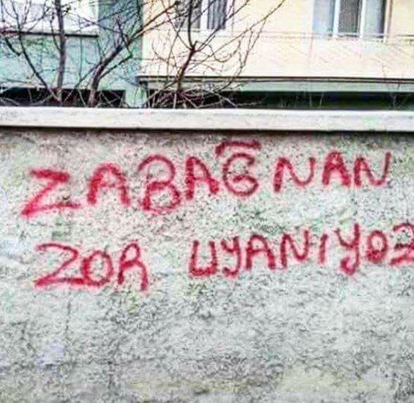 zabağnan zor uyanıyoz - uludağ sözlük