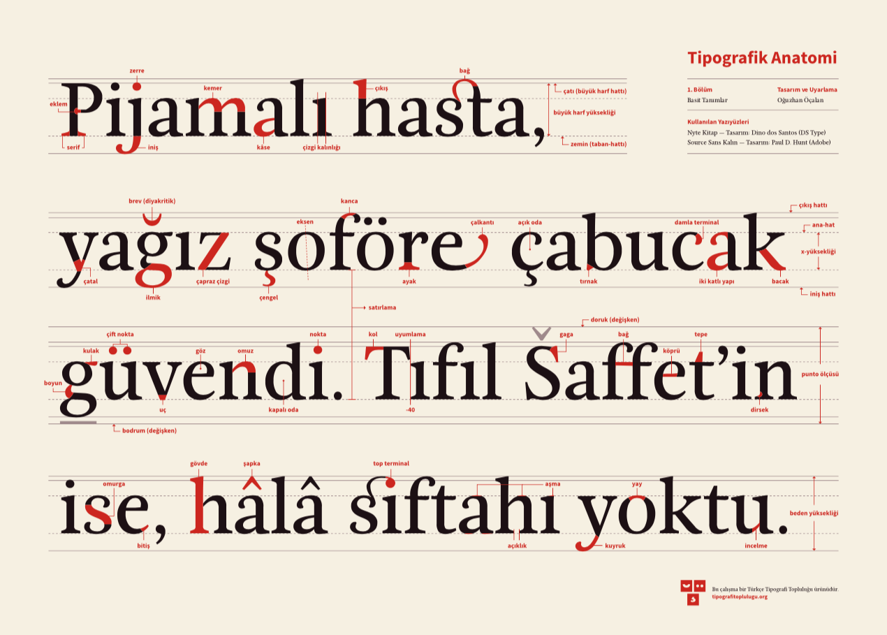 tipografik-anatomi.png