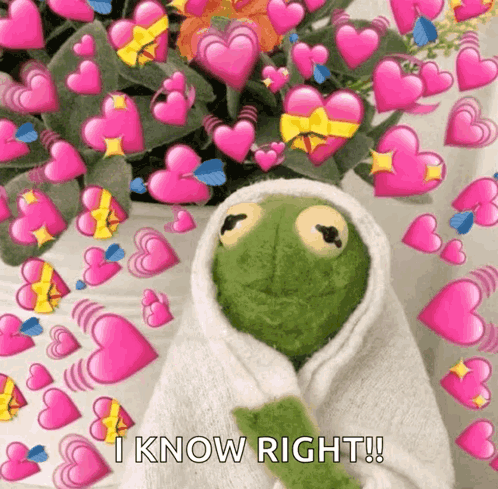 Kermit Kermit Love GIF - Kermit Kermit Love Kermit Hearts - GIF-ləri kəşf  edin və paylaşın