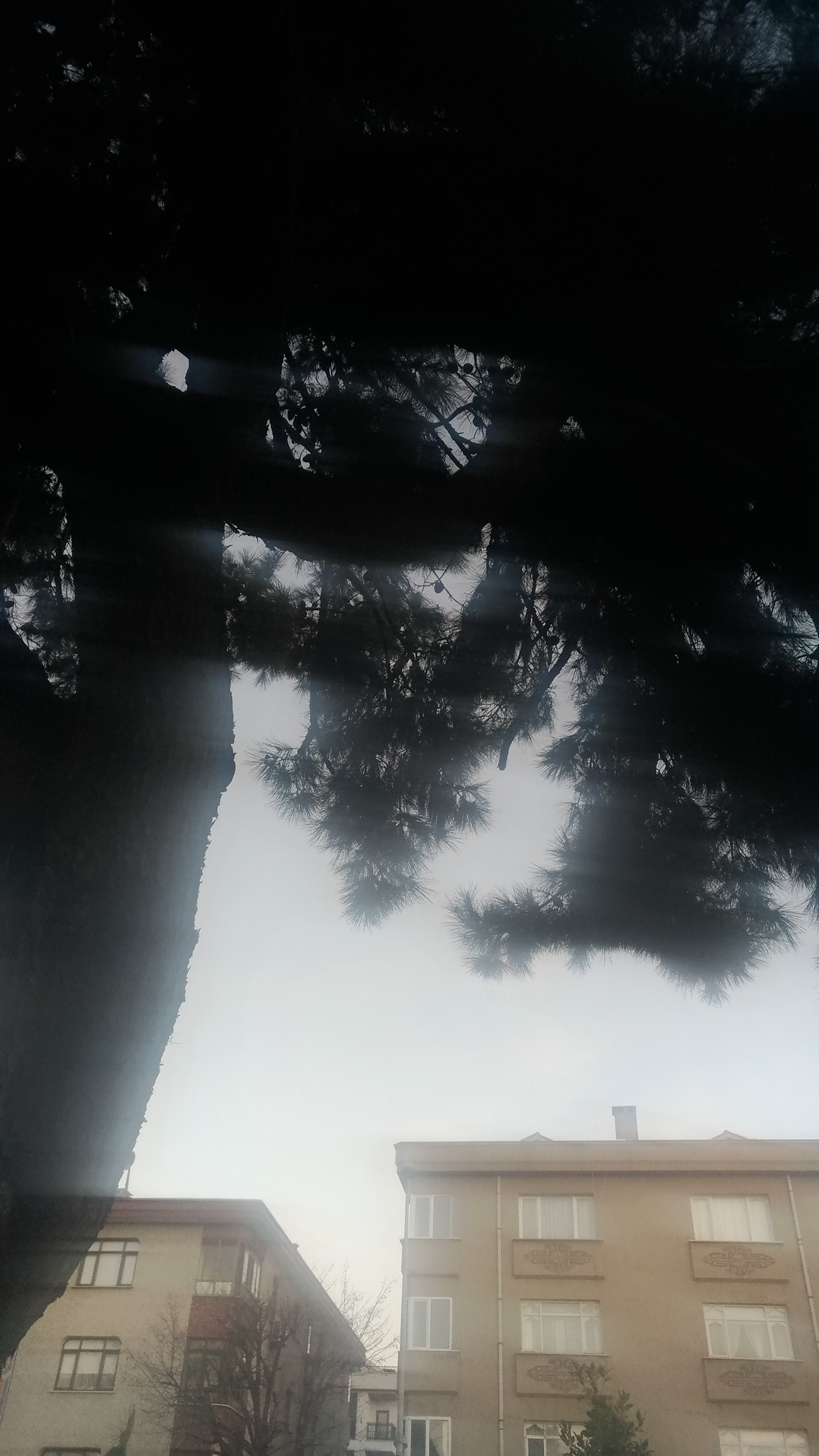 P_20230315_072305_vHDR_Auto.jpg