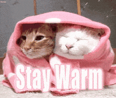 Stay Warm GIF by MOODMAN