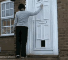 prank-dog.gif