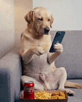 Dog Eating GIF