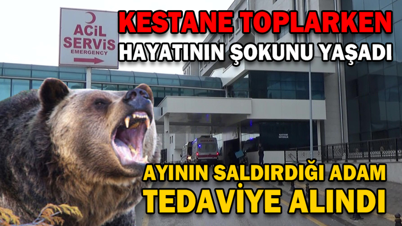 adada.png