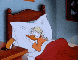 good morning buenos dias GIF
